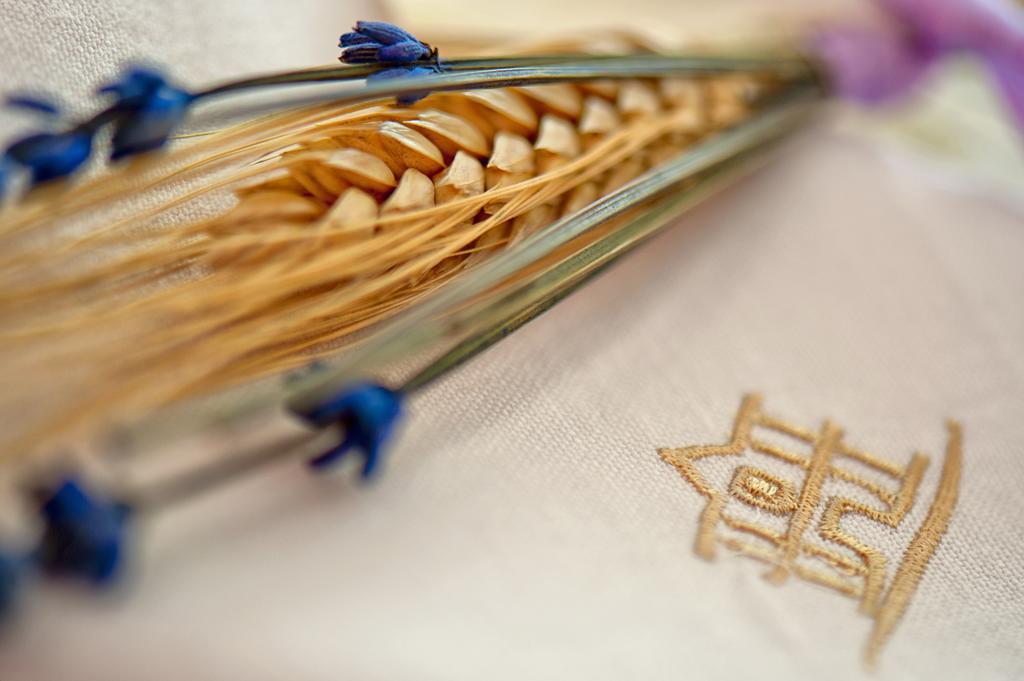 Tenuta Ippocrate Montefredane ภายนอก รูปภาพ