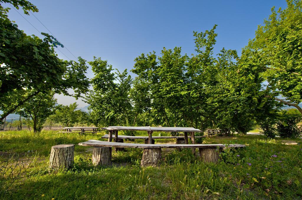 Tenuta Ippocrate Montefredane ภายนอก รูปภาพ